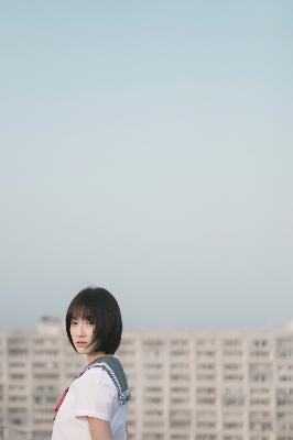 间谍过家家第三季